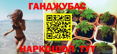 наркотики Кингисепп